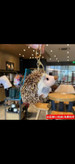 چارم بگ آویز جوجه تیغی وارداتی ارجینال